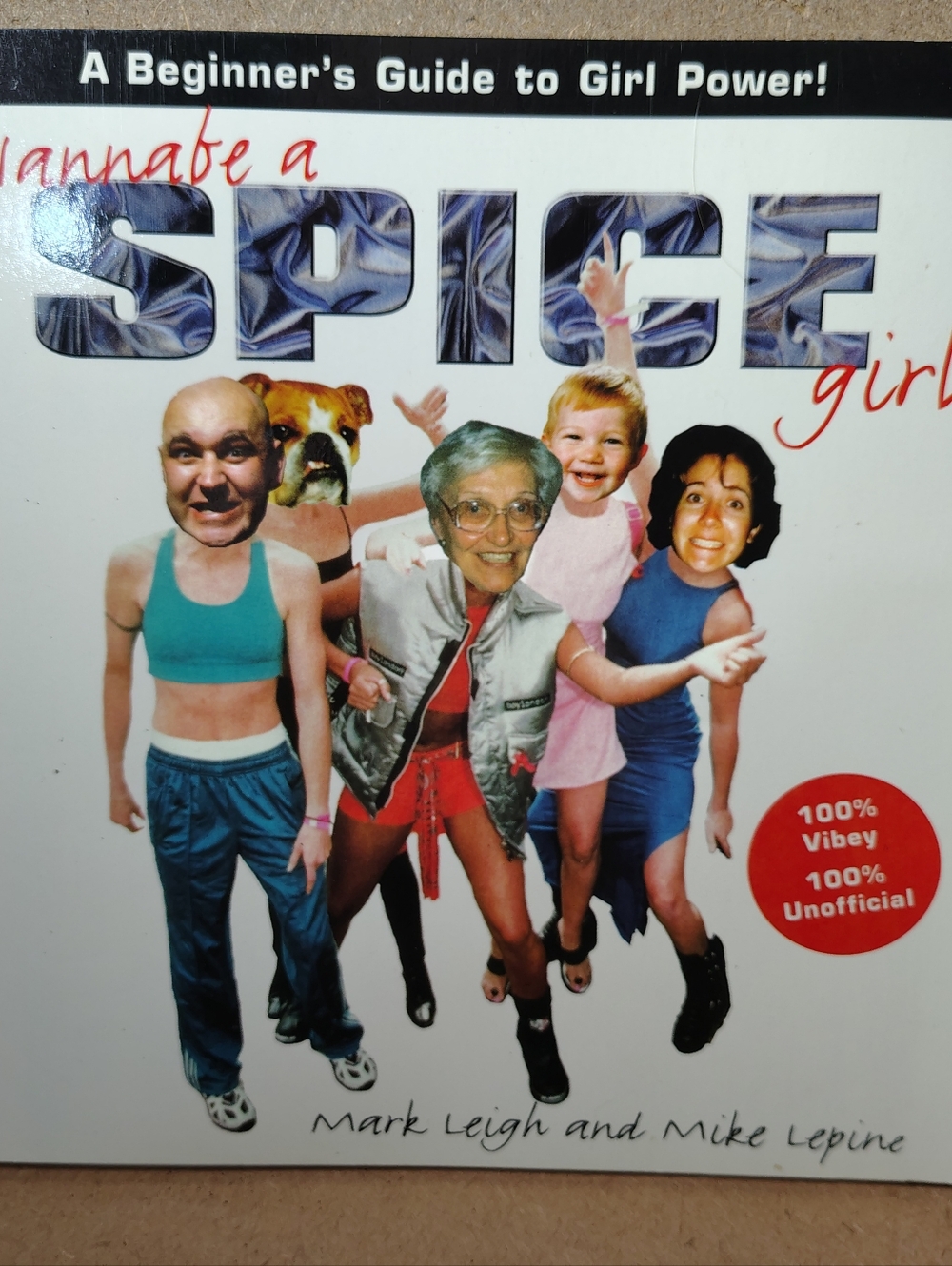 Wannabe A Spice Girl? A Beginner's Guide To Girl Power by Mark Leigh/Mike Lepine